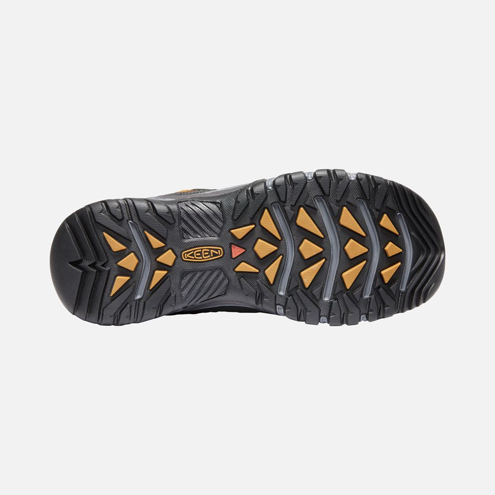 Keen Outdoor Ayakkabı Erkek Siyah Kahverengi - Targhee Vent - Türkiye GRZD92607